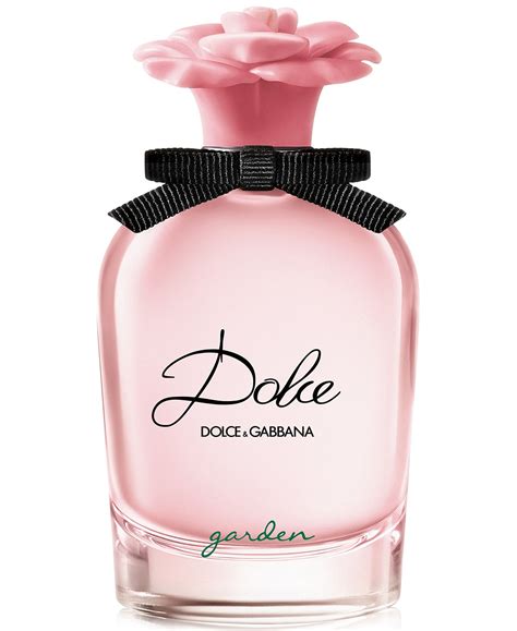 dolce and gabbana fragrance